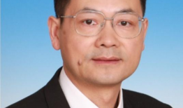 张智超,探索创新与变革的领军人物