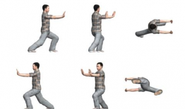 太极拳漫画,动静之间，探寻中华武术之魂